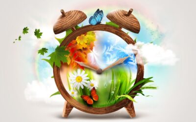 Die Sieben Jahreszeiten von Isabelle van Groeningen