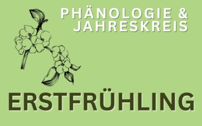 Phänologie Erstfrühling