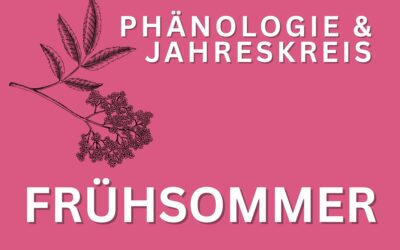 Phänologie Frühsommer