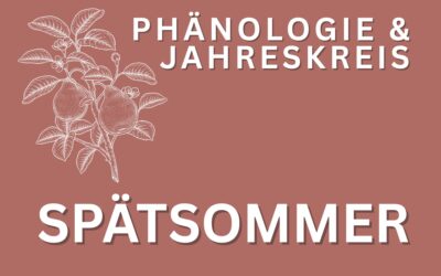 Phänologie Spätsommer August