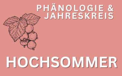 Phänologie Hochsommer im Juli