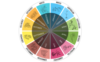 Jahreskreis Phänologie