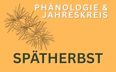 Phänologie Spätherbst