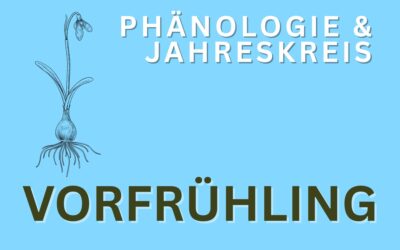 Phänologie Vorfrühling (Februar)