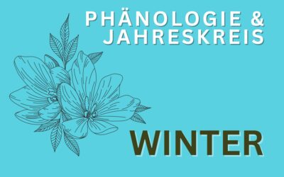 Phänologie – Winter (Januar)